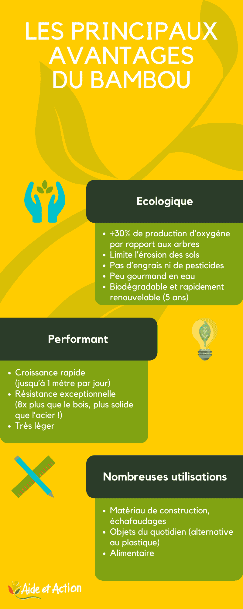 Infographie - Bambou - Développement Durable
